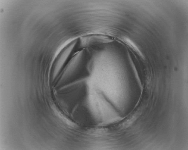 X0000065980884200603172112