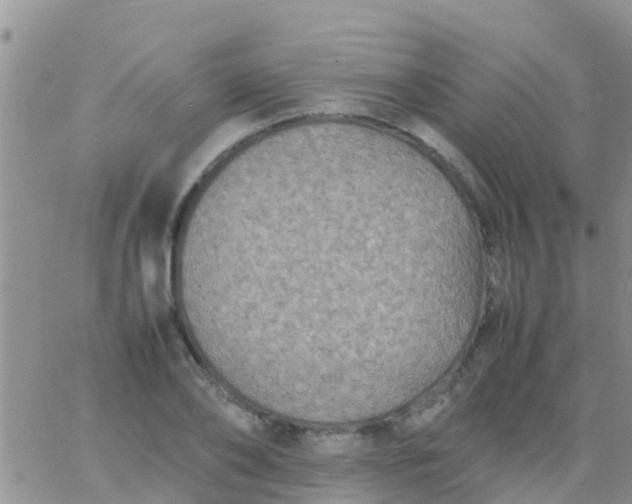 X0000065980886200603172112