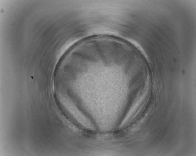 X0000065980887200603172112