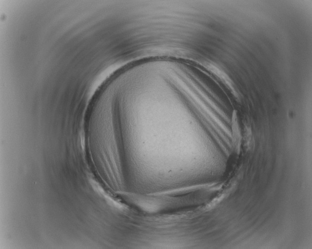 X0000065980888200603172112