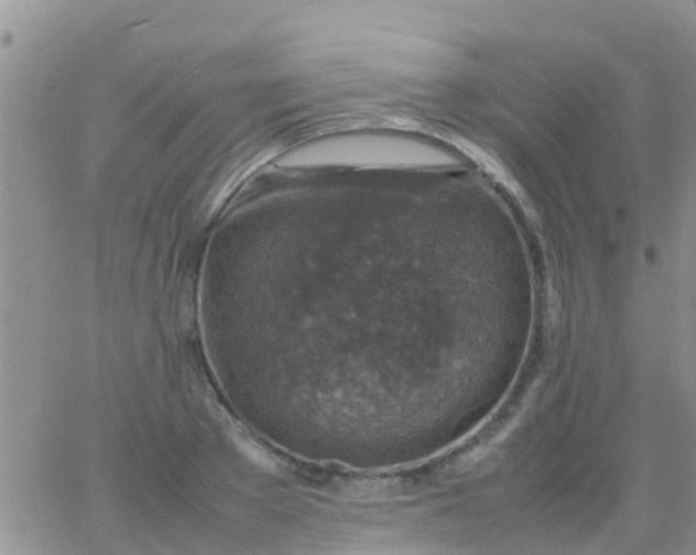 X0000065980889200603172112