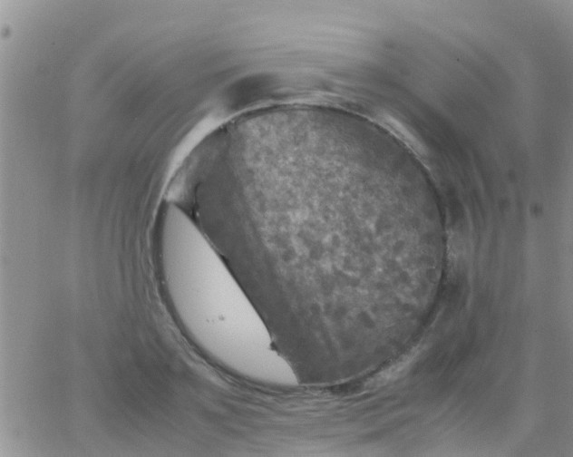 X0000065980891200603172112