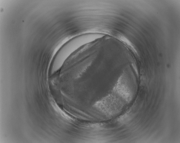 X0000065980892200603172112