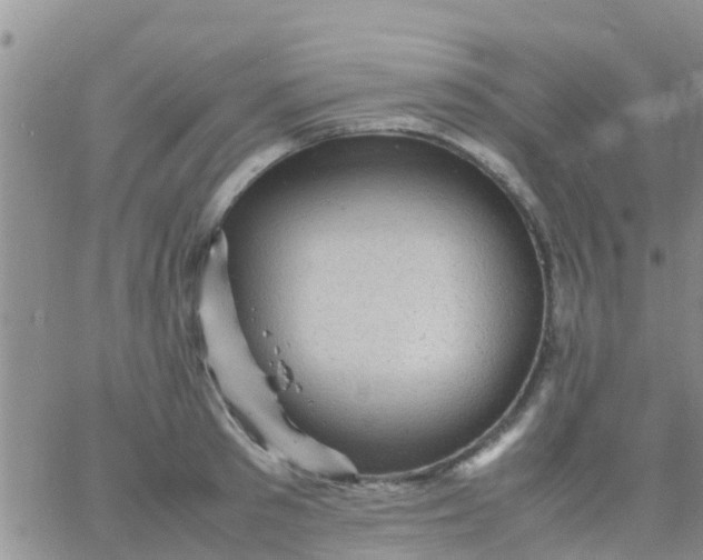 X0000065980897200603172112