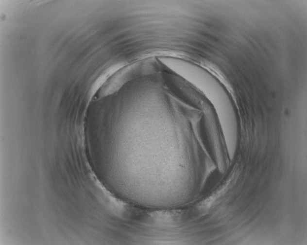 X0000065980898200603172112