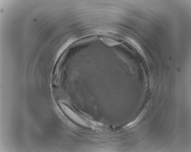 X0000065980899200603172112