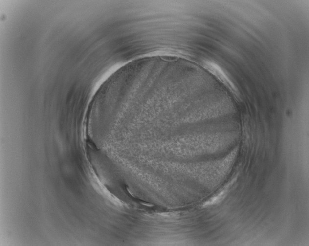 X0000065980900200603172112