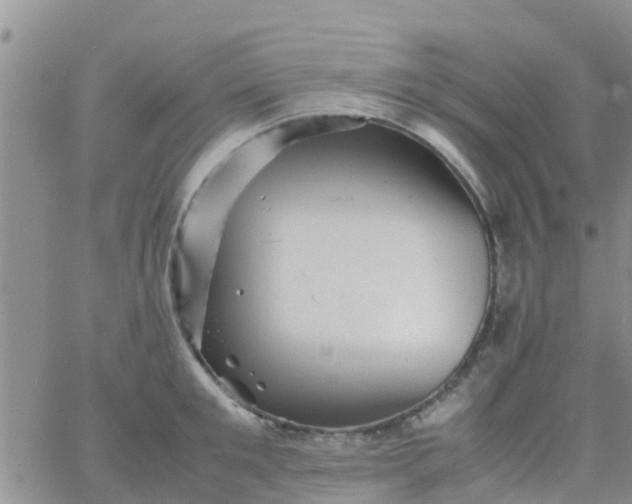 X0000065980901200603172112