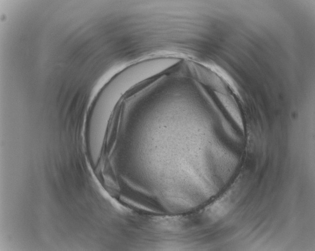 X0000065980902200603172112