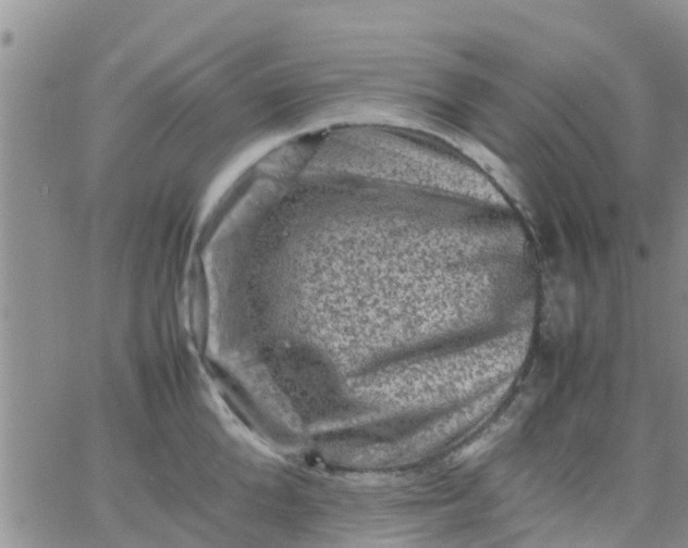 X0000065980904200603172112