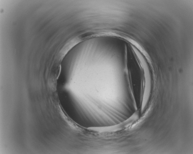 X0000065980905200603172112