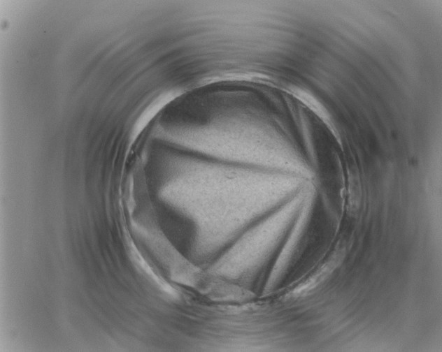 X0000065980906200603172112