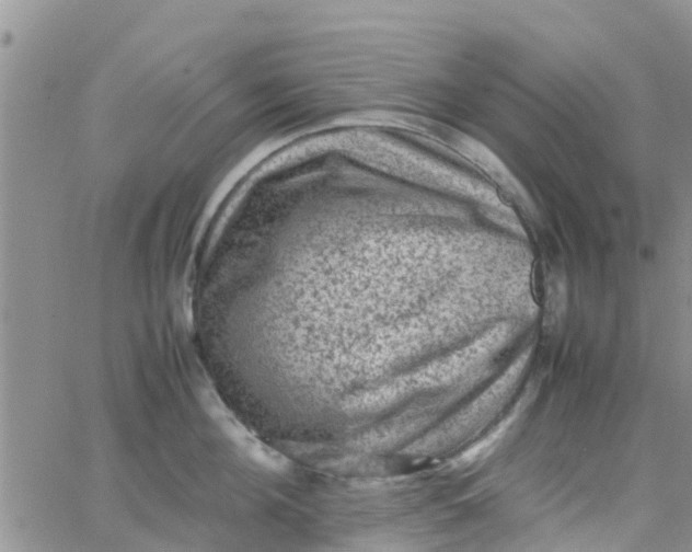 X0000065980908200603172112