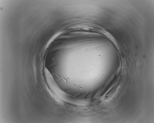 X0000065980909200603172112