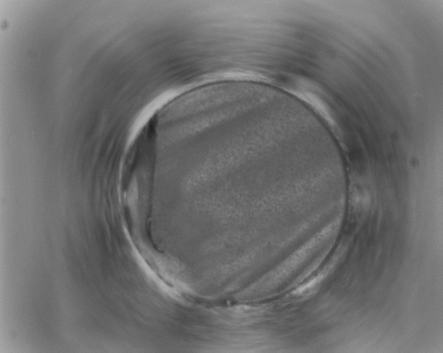 X0000065980910200603172112