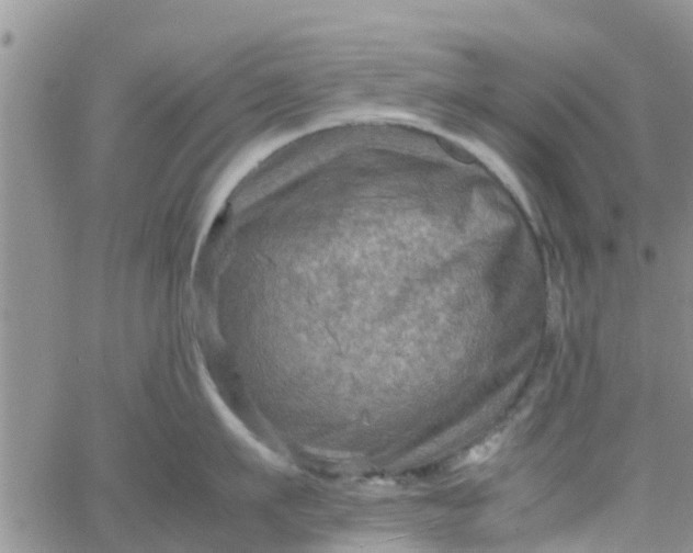 X0000065980911200603172112