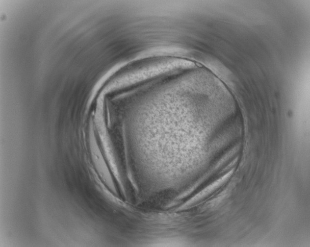 X0000065980912200603172112