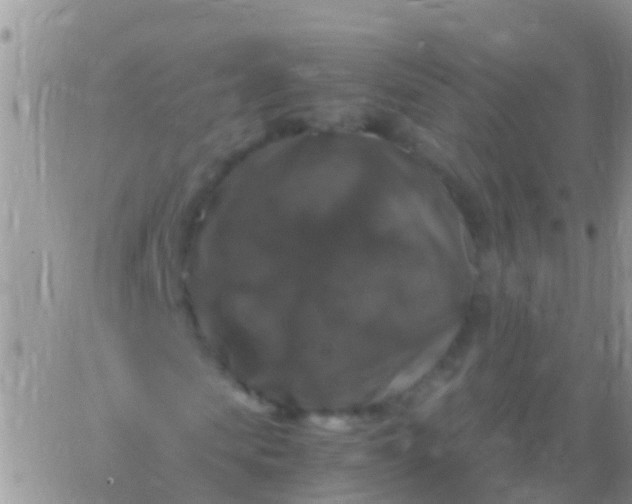 X0000065980913200603172111