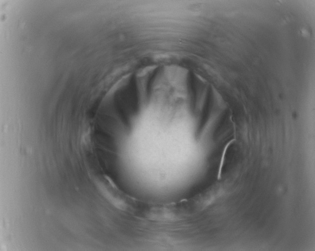 X0000065980914200603172111