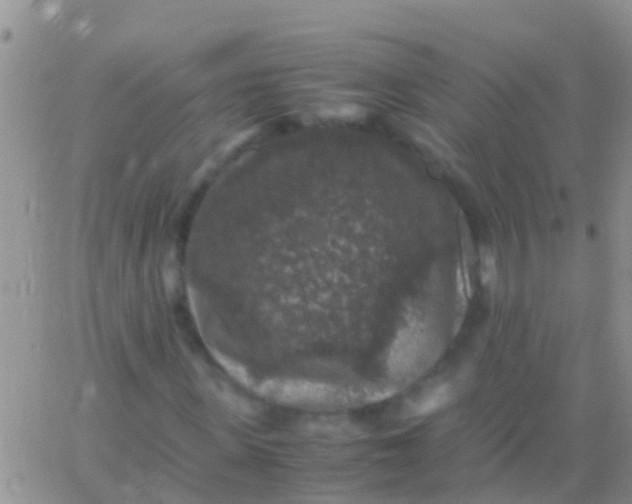 X0000065980915200603172111