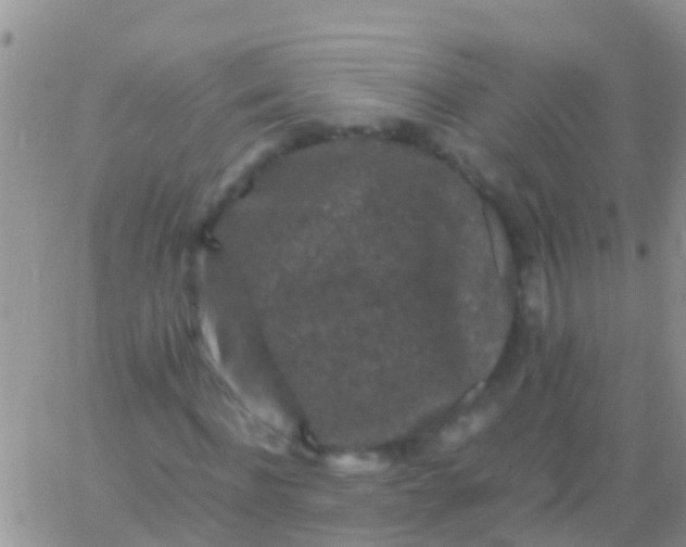 X0000065980916200603172111