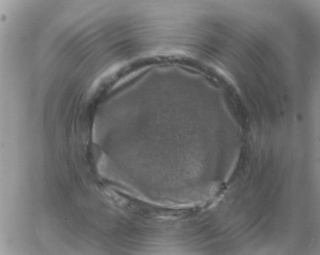 X0000065980920200603172111