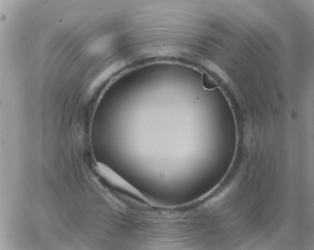 X0000065980922200603172111