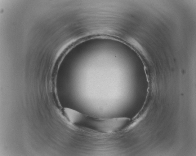 X0000065980924200603172111