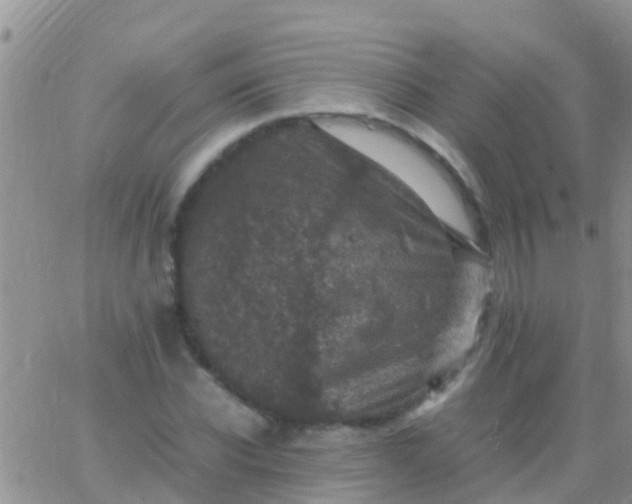 X0000065980926200603172111