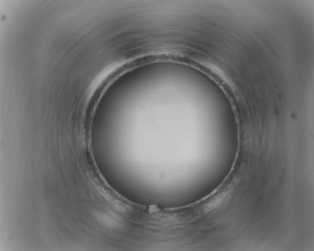 X0000065980927200603172111