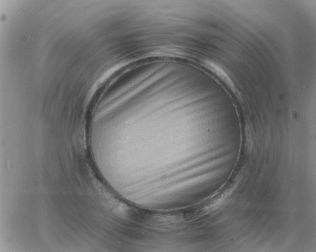 X0000065980931200603172111