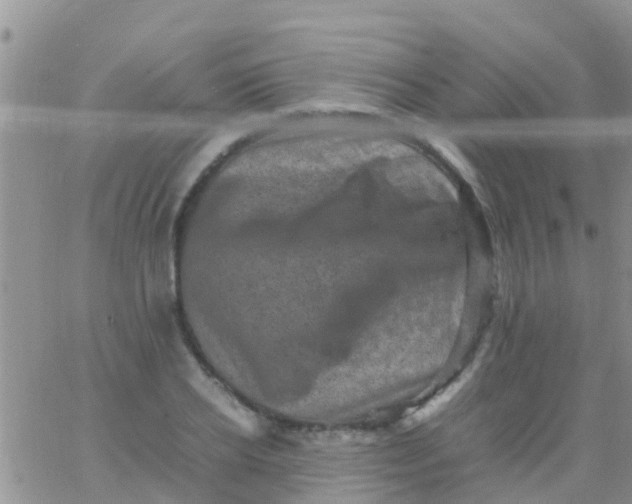 X0000065980934200603172111