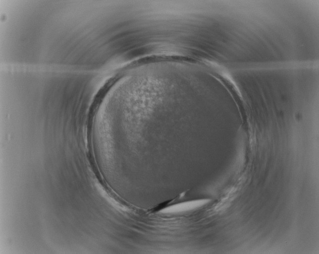 X0000065980935200603172111