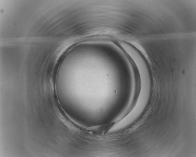 X0000065980936200603172111