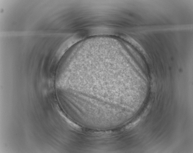 X0000065980937200603172111