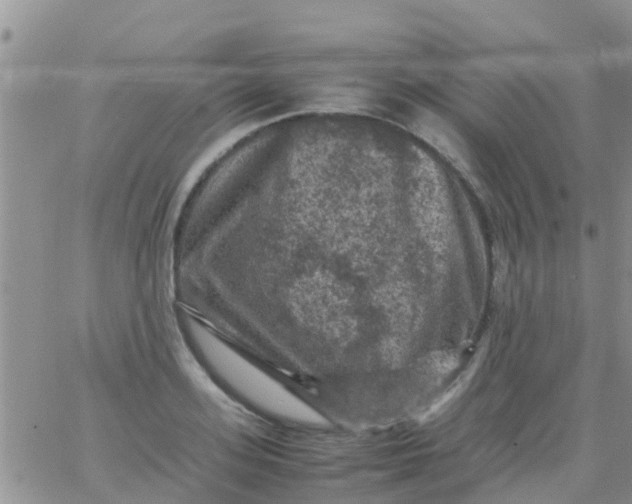 X0000065980939200603172111