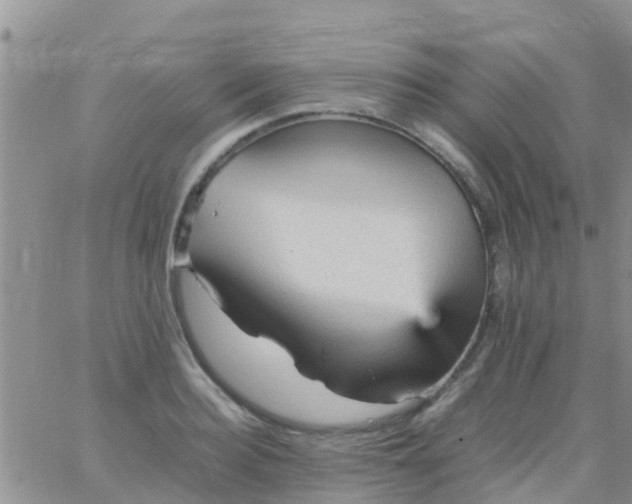 X0000065980940200603172111