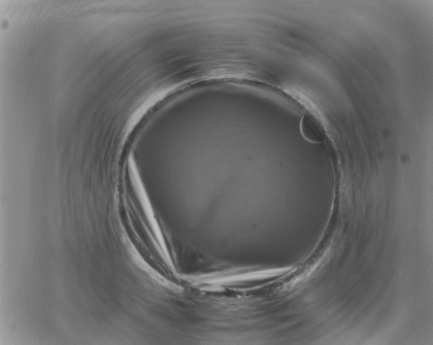 X0000065980941200603172111