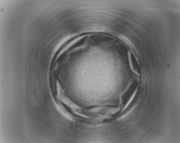 X0000065980942200603172111