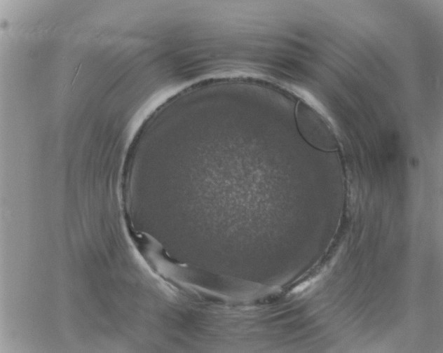 X0000065980943200603172111