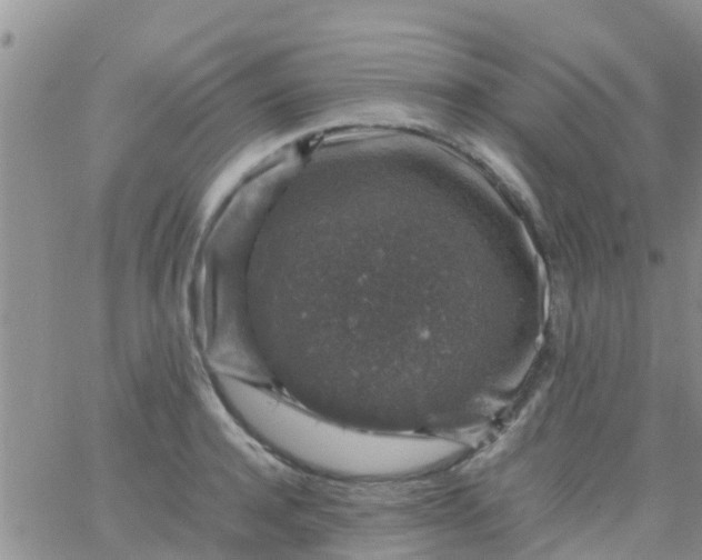 X0000065980944200603172111