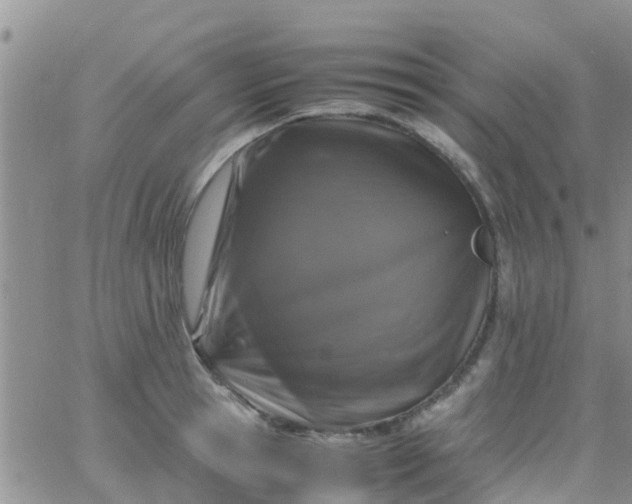 X0000065980945200603172112