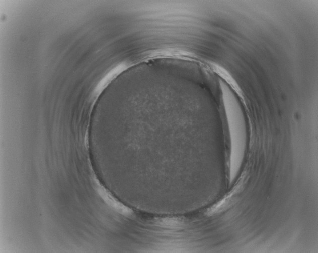 X0000065980946200603172112