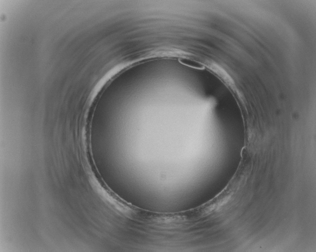 X0000065980947200603172112