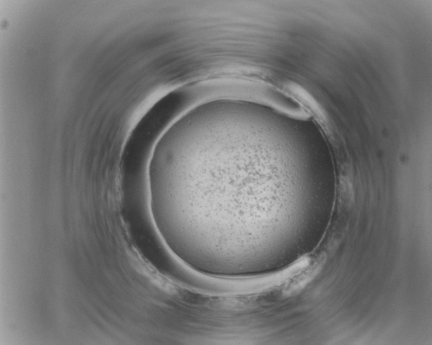 X0000065980948200603172112