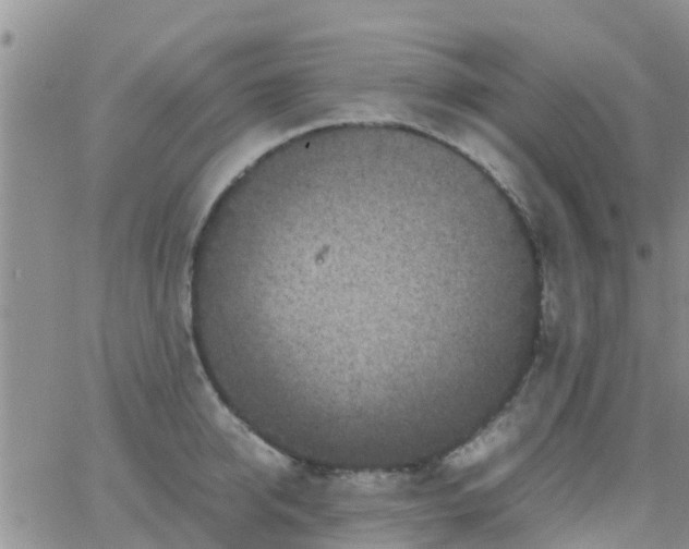 X0000065980950200603172112