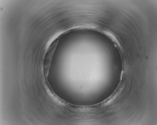 X0000065980952200603172112