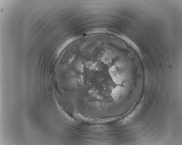 X0000065980953200603172112