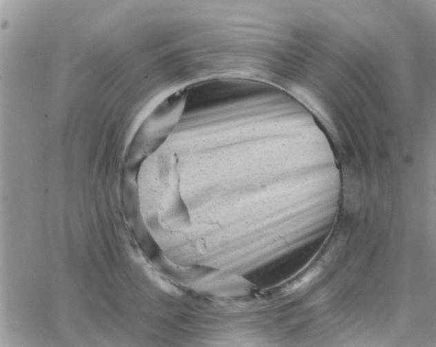 X0000065980956200603172112