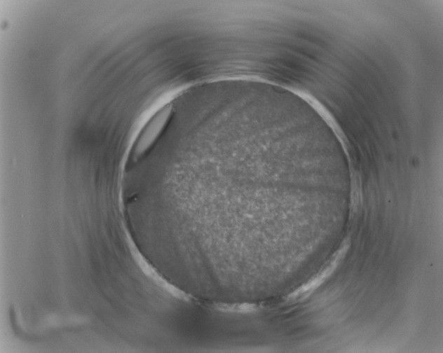 X0000065980957200603172112